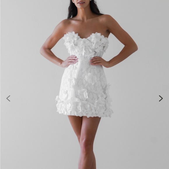 Waters size 6 Cosmo dress. - Picture 3 of 5